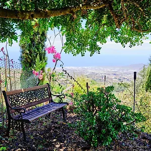 Tizziri Rural , Santa Cruz de Tenerife España