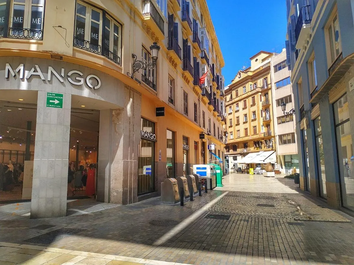 Apartamento Junto A Calle Larios Malaga